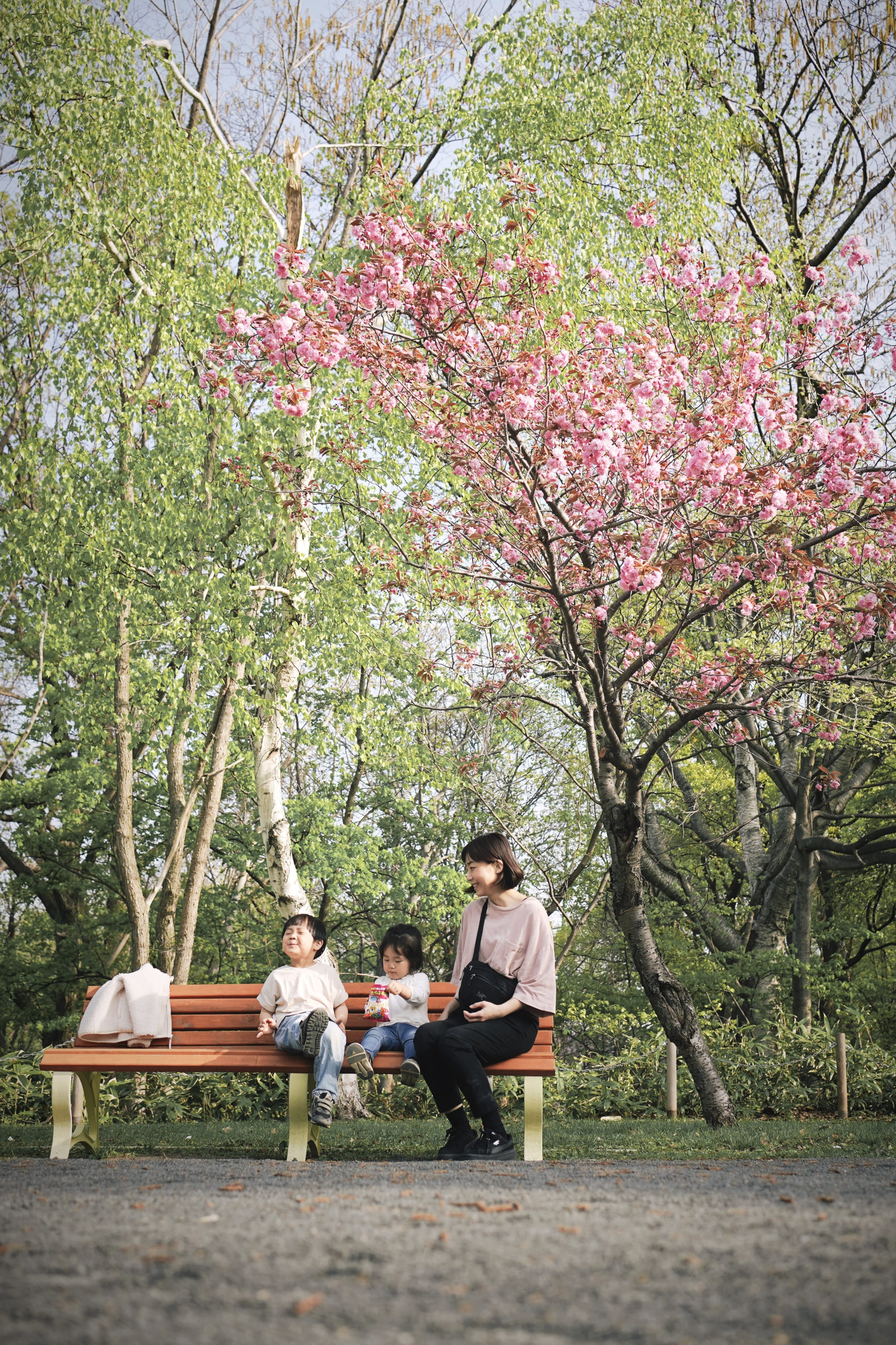 桜の木下で母親と子供が座っている写真
