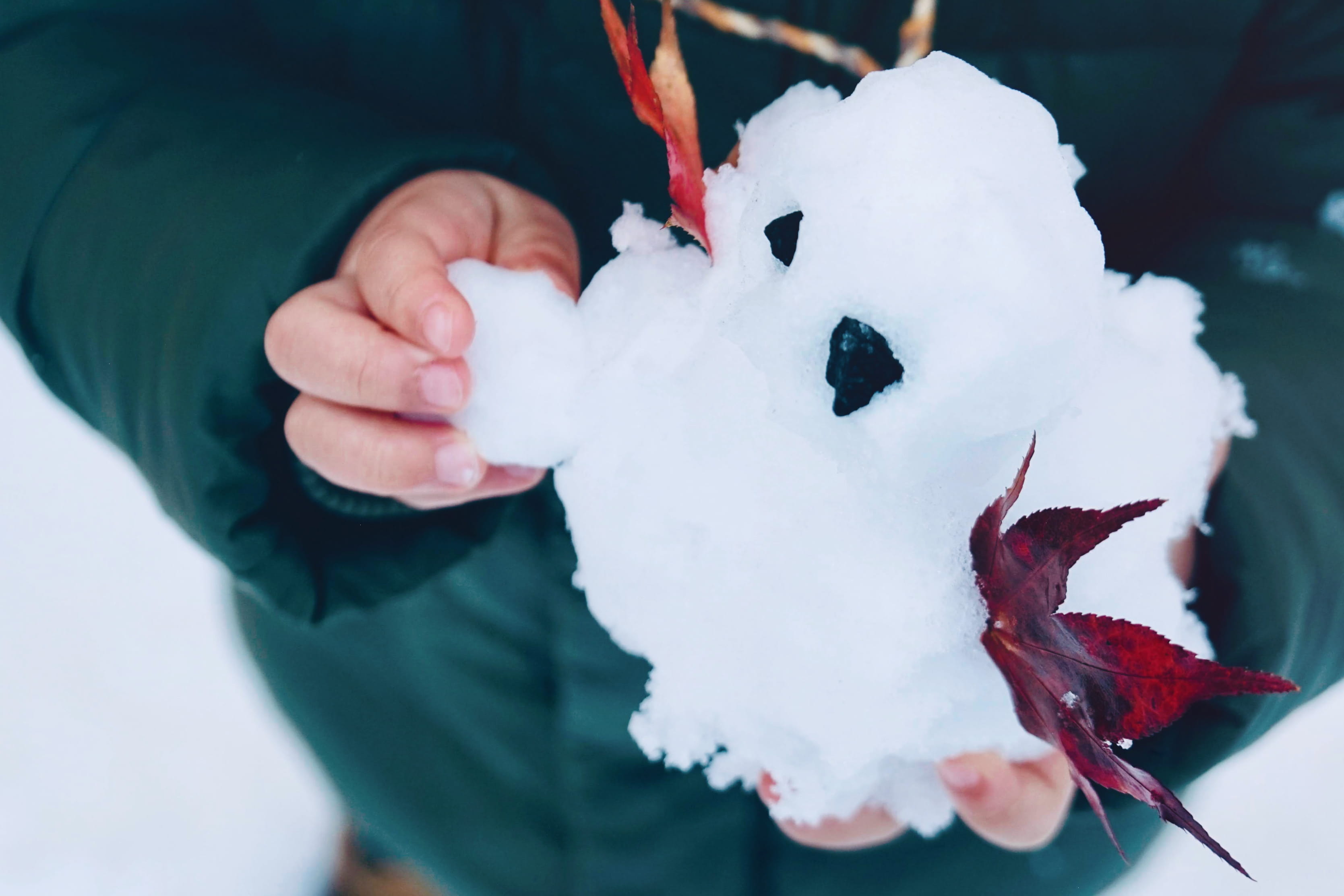 子供が作った雪だるまの写真